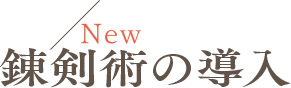 New 錬剣術の導入